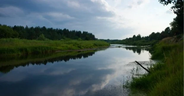 Рідкісні риби повернулися у Чорнобильську зону: що знайшли науковці